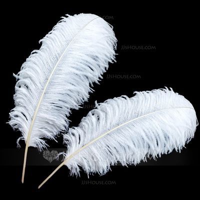 Feather Wedding Decorations, Feather Wedding, Ostrich Feather, Ostrich Feathers, Illustration Painting, Single Piece, Decorative Accessories, Feathers, Wedding Decorations