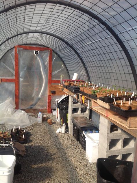 Hoop House Greenhouse, Cattle Panel Greenhouse, Small Greenhouse Design, Greenhouse Building, Pvc Greenhouse, Greenhouse Diy, Hoop House, Greenhouse Design, Cattle Panels