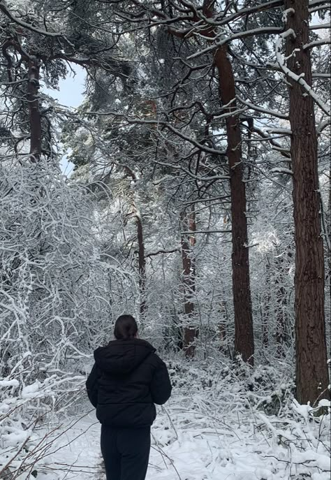 Snow Walk Aesthetic, Winter Walk Aesthetic, Aesthetic Afternoon, Uk Aesthetic, 24 Days Of Christmas, Snowy Woods, Winter Hike, Christmas Moodboard, Winter Arc