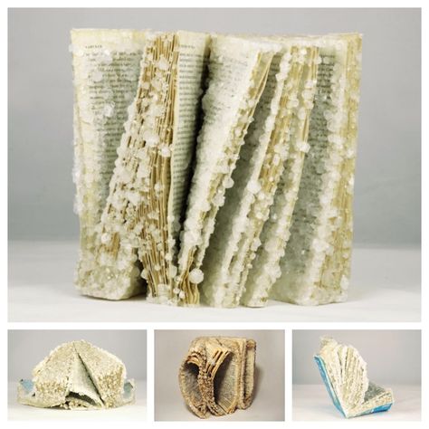 "Crystallized Books" #bookart by Alexis Arnold - old copies of books are frozen with heavy crystal growth.  💬 The crystals remove the text and solidify the books into aesthetic, non-functional objects Crystalised Book, How To Crystallize A Book, Borax Crystal Book Diy, How To Crystallize Books, Crystallized Book Diy, Diy Crystalized Book, Crystal Book Diy, Borax Crystal Book, How To Crystalize A Book