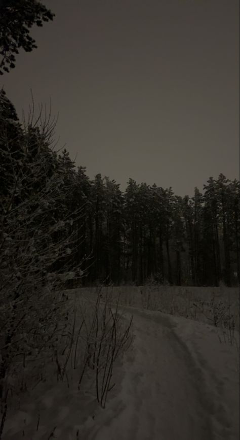 Snowy Woods Night, Wintertime Wallpaper, Dark Ambient Wallpaper, Night Snow Wallpaper, Woods Aesthetic Wallpaper, Snow Dark Aesthetic, Dark Ambient Aesthetic, Dark Winter Aesthetic Wallpaper, Winter Wallpaper Dark