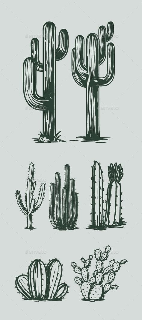 Desert Drawing, Cactus Silhouette, Cactus Graphic, Cactus Vector, Cactus Tattoo, Cactus Drawing, Cactus Illustration, Cactus Painting, Desert Design