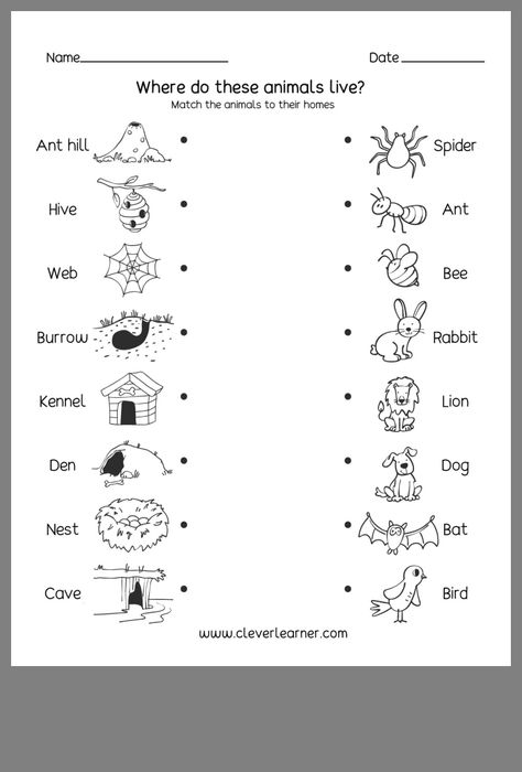 Homes Of Animals Worksheet, Animals Home Worksheet, Worksheet On Animals For Kindergarten, Animal Homes Worksheet, Animals And Their Homes Worksheets, Animal Needs Kindergarten, Worksheet Science For Kindergarten, Where Do Animals Live Worksheet, Animals Worksheet Kindergarten