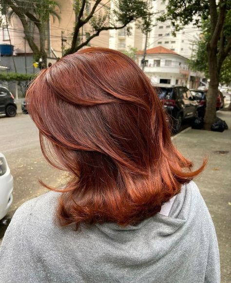 Cowboy Copper, Red Hair Inspo, Ginger Hair Color, Hair Color Auburn, Hair Appointment, Effortless Hairstyles, Hair Stylies, Auburn Hair, Copper Hair