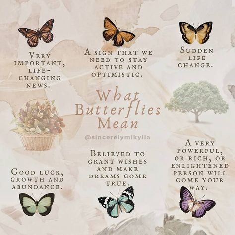 Different Butterflies And Their Meanings, Brown Butterfly Meaning, Butterfly Significance, Butterfly Meaning Spiritual, Meaning Of Butterflies, Meaning Of A Butterfly, Facts About Butterflies, Animals Meaning, Runes Witchcraft