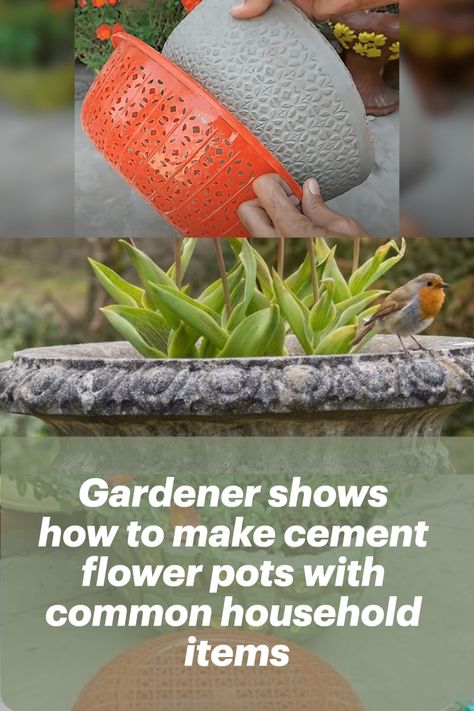 #how #to #make #cement #flower #pots Diy Cement Flower Pots Outdoor, How To Make Concrete Pots, Making Cement Planters, Concrete Flower Pots Diy Cement, How To Make Pots For Plants Diy, Concrete Pots Diy Planters, How To Make A Flower Pot, Making Cement Pots, Cement Flower Pots Diy How To Make