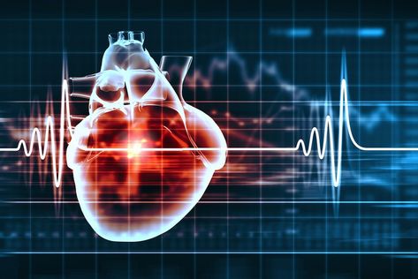 Angina Pectoris, Blood Pressure Diet, Coronary Arteries, Ted Talk, Human Heart, Cardiology, Cardiovascular Disease, Alzheimers, Heart Health