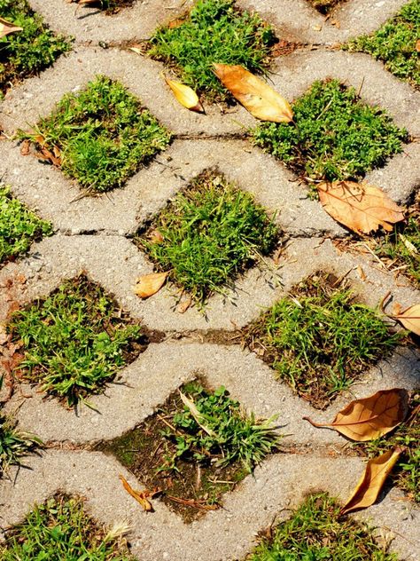 Permeable Driveway Info: Learn About Making A Grass Driveway Grass Crete Driveway, Water Permeable Driveway, Driveway With Grass In Between, Eco Driveway, Grass Pavers Driveway, Green Driveway, Permeable Pavers Driveways, Driveway Ideas Cheap, Lawn Driveway