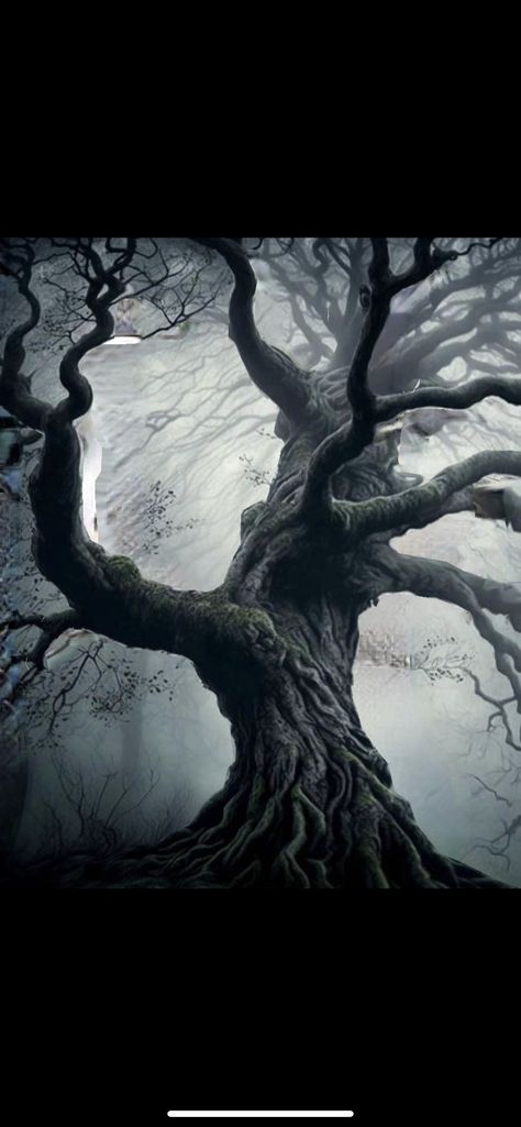 Creepy Woods Aesthetic, Creepy Tree Tattoo, Cool Trees, Widget Background, Foggy Woods, Forest Ghost, Creepy Woods, Creepy Forest, Creepy Tree