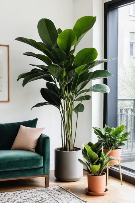 Plants In The House Decor, Plants In Minimalist Home, Indoor Low Maintenance Plants, Indoor Garden Bedroom, Indoor Plants For Small Spaces, Balcony Plants Decor, House With Indoor Plants, Beautiful Plants For Home, Living With Plants