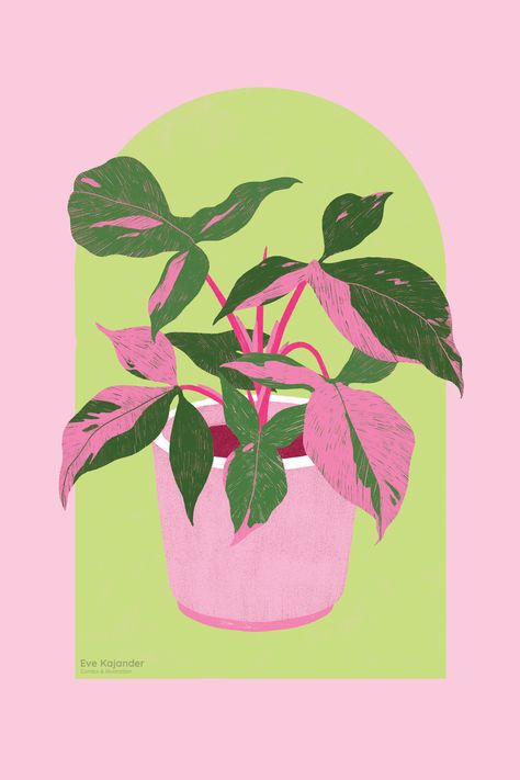 Syngonium Pink Splash, Pink Splash, Plant Art Print, Poster Room, Plant Painting, Plant Drawing, Plant Illustration, Plant Art, Floral Wall Art