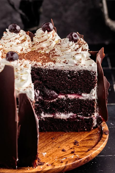 Our decadent German black forest cake recipe is perfect for special occasions. It features layers of chocolate sponge cake, decorated with homemade whipped cream, has a cherry liquor filling, and is garnished with chocolate bark on the sides of the cake. Black Cherry Forest Cake, Black Forest Yule Log Cake, Chocolate Cake With Fruit Filling, Black Forest Christmas Cake, Chocolate Cannoli Cake, Special Chocolate Cake, Dark Academia Recipes, Black Forest Cake Decoration Ideas, Black Forest Cake Aesthetic