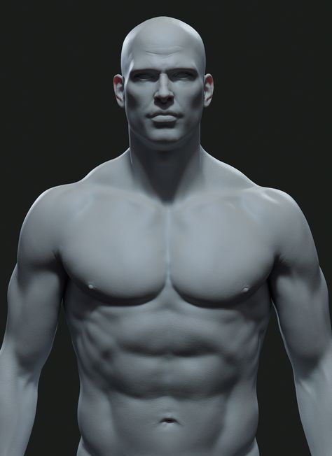 Male Chest Reference, Torso Study, Anatomy Male, Zbrush Anatomy, Zbrush Models, Male Chest, Anatomy Practice, Warrior Concept Art, Man Anatomy