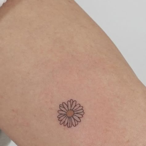 Outline Daisy Tattoo, Dainty Daisy Tattoo Simple, Daisy And Lily Tattoo, Small Daisy Flower Tattoos, Daisy Tattoo On Wrist, Tattoo Daisy Flower, Small Tattoos Flower, Dainty Daisy Tattoo, Tiny Daisy Tattoo