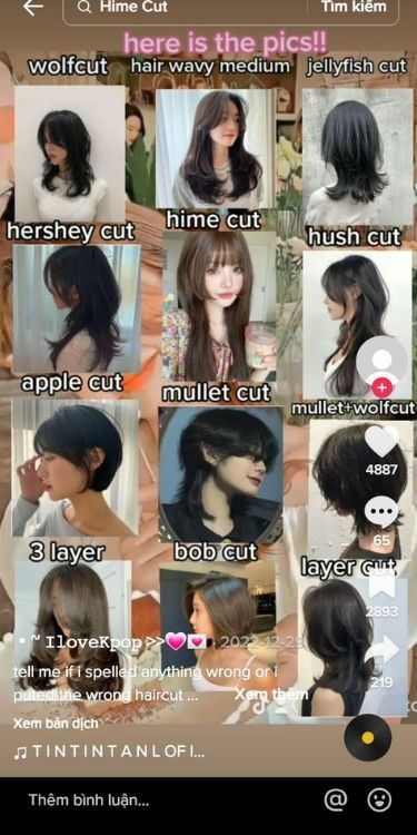 Different Kinds Of Haircuts For Women, Names Of Haircuts For Women, Names Of Short Haircuts For Women, Types Of Hair Cuts Women, Haïr Cut Name For Women, Hairstyle Names For Women, Hair Cut Ideas 2024 Medium Hair, Haircut With Names, Haircut Types For Women