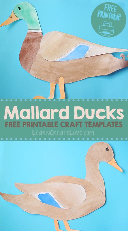 Mallard Ducks Printable Crafts Letter D Crafts, Summer Crafts For Toddlers, Spring Preschool Activities, August Crafts, Duck Crafts, Mallard Ducks, Free Printable Crafts, Duck Art, Bird Crafts