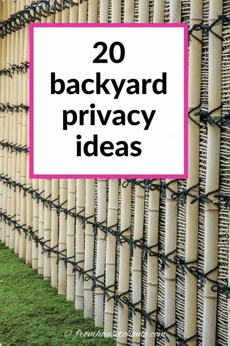 Privacy screens are a great way to make your backyard garden feel more secluded and keep the neighbors from seeing into your yard. Whether you want to use plants, fences or structures, there are lots of ways to create your backyard oasis. Backyard Fencing Ideas Privacy, Backyard Privacy Wall Ideas, Privacy Gates Backyards, Backyard Privacy Ideas From Neighbors Fence, Garden Screening Ideas Cheap, Gate Privacy Ideas, Garden Privacy Ideas Cheap, Ideas For Privacy Fence, Easy Privacy Fence Ideas Cheap