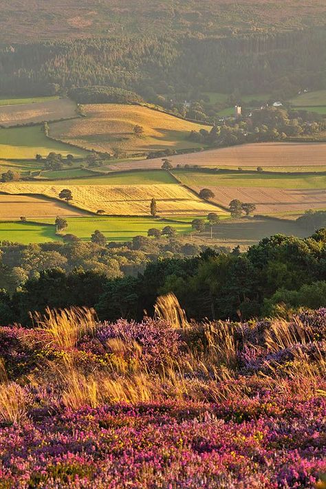 Late Afternoon Sun On Luccombe Church, Somerset, England Rural England, Town And Country Magazine, England Countryside, English Landscape, Country Magazine, Somerset England, British Countryside, Autumn Colours, Country Side