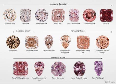 Athena Jewelry, Pink Diamond Halo Ring, Diamond Color Chart, Pink Diamond Earrings, Argyle Pink Diamonds, Brown Diamonds, Expensive Diamond, Pink Emerald, Pink Diamond Ring