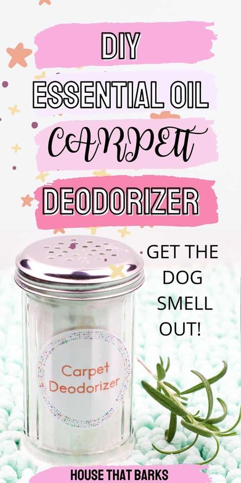 Essential Oil Carpet Deodorizer, Dog Smell Out Of Carpet, Natural Pet Odor Eliminator, Homemade Carpet Deodorizer, Odor Eliminator Diy, Diy Carpet Deodorizer, Dog Deodorizer, Diy Dog Accessories, Diy Dog Shampoo