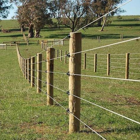 Livestock Fence, Horse Pens, Ranch Fencing, Pasture Fencing, Horse Fence, Horse Paddock, Horse Farm Ideas, Horse Barn Ideas Stables, Horse Shelter