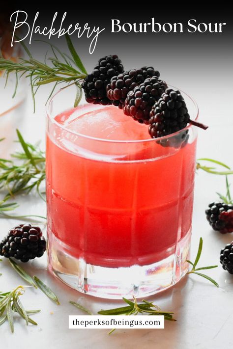 A blackberry bourbon sour is an exceptional cocktail that’s guaranteed to set the tone for any party or gathering! The key to its irresistible flavor lies in the use of perfectly ripe, juicy blackberries, which are expertly blended with zesty, fresh citrus to create a vibrant, tangy base. To elevate this mixture, a generous pour of smooth, rich bourbon is added, infusing the drink with a warm, robust character. Blackberry Crown Royal Recipes, Blackberry Cocktails, Crown Royal Recipes, Bourbon Mixed Drinks, Juice Crafts, Bourbon Drinks Recipes, Blackberry Bourbon, Blackberry Cocktail, Bourbon Sour