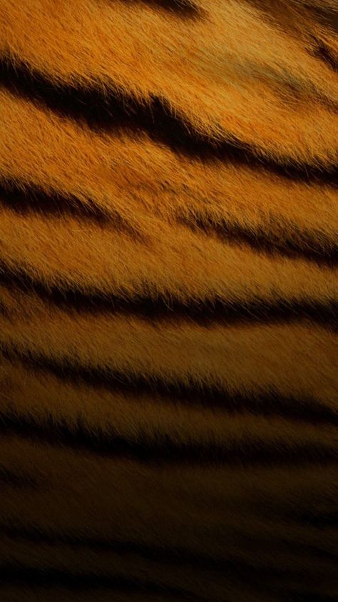 Tiger Skin Pattern HD Wallpaper Check more at https://phonewallp.com/tiger-skin-pattern-hd-wallpaper/ Tiger Skin Wallpaper, Wallpaper Huawei, Tiger Skin Pattern, Wallpaper Tiger, Skin Wallpaper, Olive Oil Skin, Korean Hair Color, Free Psd Design, Brown Hair Blue Eyes