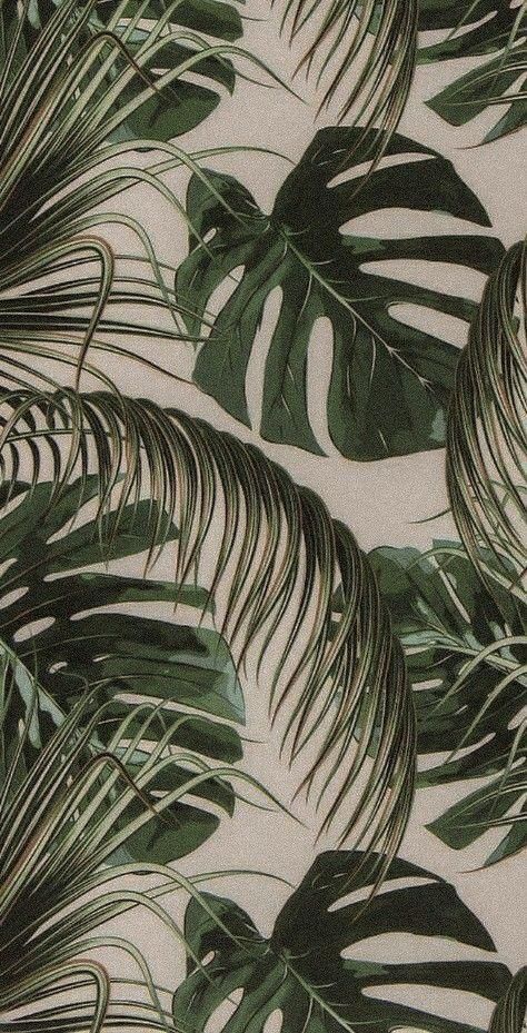 Bohemian Wallpaper Aesthetic, Plant Background Wallpapers, Boho Plant Wallpaper, Plants Background Aesthetic, Plant Background Aesthetic, Plants Iphone Wallpaper, Plant Wallpaper Iphone, Design For Wall Painting, Texture Paint Design