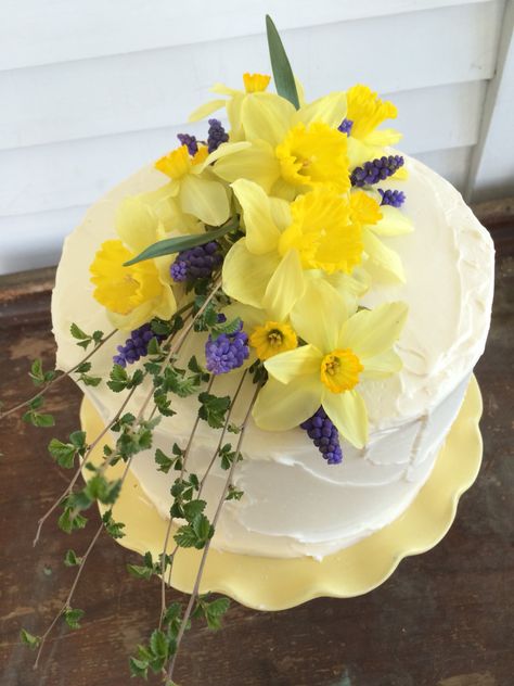 Cake With Daffodils, Daffodil Cake Ideas, Daffodil Cake Decorations, Daffodil Cake, Daffodil Day, Blackberry Cake, Medieval Wedding, Spring Bridal Shower, Mom Party