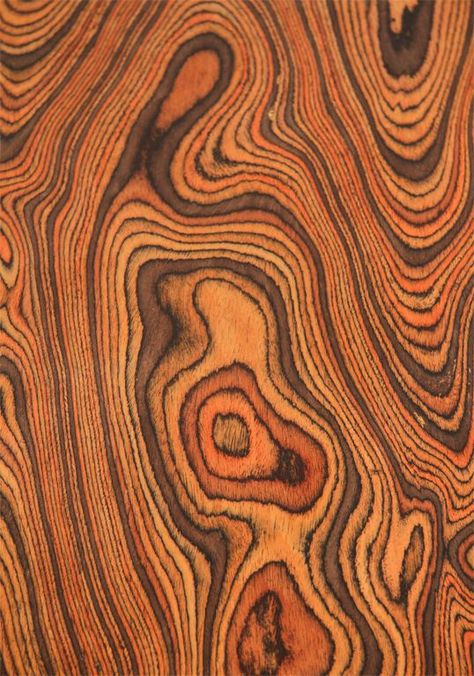 Trees, Bark & Wood Grains on Pinterest | Wood Grain, Trees and Socotra Tree Textures, Texture Inspiration, Tree Bark, Wood Patterns, Burled Wood, Natural Forms, Wood Texture, Patterns In Nature, Coffee Table Wood