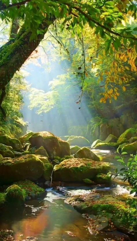 Pretty Nature Pictures, Landscape Photography Nature, Landscape Art Painting, Tableaux Paysage, Nature Art Painting, Beautiful Landscape Wallpaper, Green Forest, Alam Yang Indah, Beautiful Scenery Nature