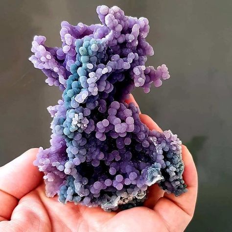 Pretty Crystals, Grape Agate, Minerals Crystals Rocks, Crystal Vibes, Crystal Aesthetic, Rock Minerals, Pretty Rocks, Cool Rocks, Crystal Geode