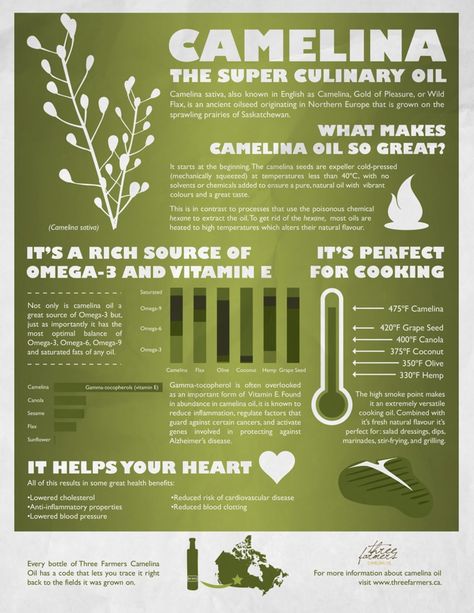 Camelina Oil Benefits, O Blood Type Diet, Oil Infographic, Camelina Oil, Healthy Quick Recipes, Producers And Consumers, O Blood Type, Medicinal Oils, Oil Substitute