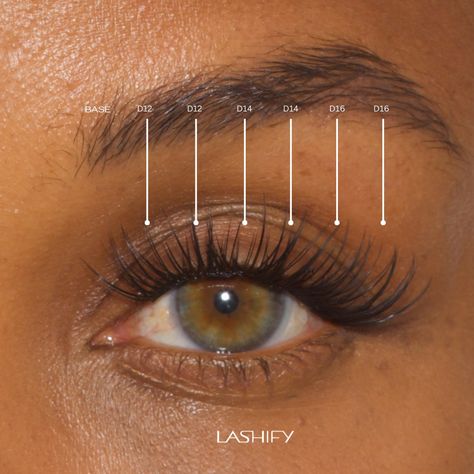 Lashify Lash Map, Lash Maps, Lash Map, Fake Lashes, Curly Girl, Pretty Makeup, Glow Up?, Lashes, Blonde