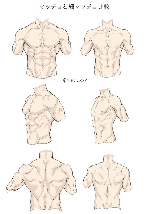 Male Body Drawing, Male Art Reference, Back Drawing, Man Anatomy, Human Anatomy Drawing, Body Drawing Tutorial, Human Anatomy Art, Male Anatomy, Body Reference Drawing