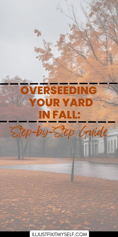 Homeowner using a spreader to overseed a yard, highlighting the steps for overseeding a lawn in the fall. How To Reseed Your Lawn In Fall, Fall Lawn Care Schedule, Fall Grass Maintenance, Reseeding Lawn Fall, Overseeding Lawn Fall, Diy Grass Fertilizer Green Lawn, Fall Yard Clean Up, Reseeding Lawn, Fall Lawn Maintenance