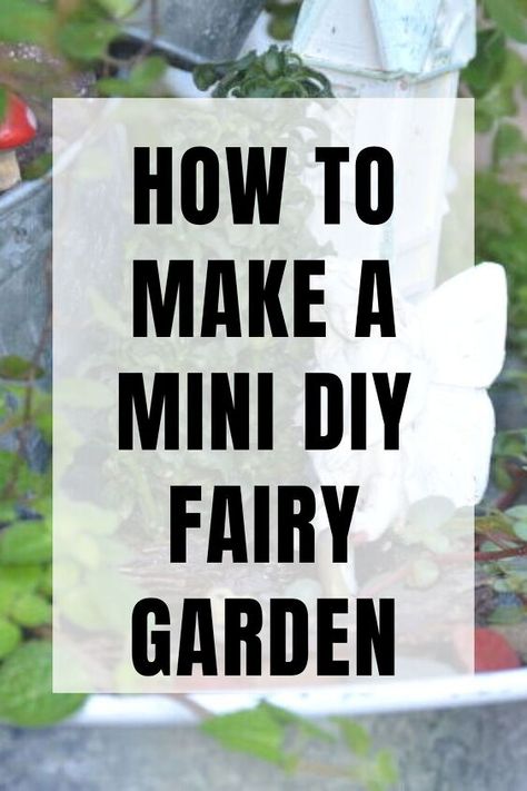 DIY Mini Fairy Garden Diy Indoor Fairy Garden Ideas, Minature Gardens Fairy, Small Fairy Garden Ideas, Mini Fairy Garden Diy, Outdoor Fairy Garden Diy, Jar Fairy Garden, Miniature Gardens Design Ideas, Indoor Fairy Garden Ideas, Diy Mini Fairy