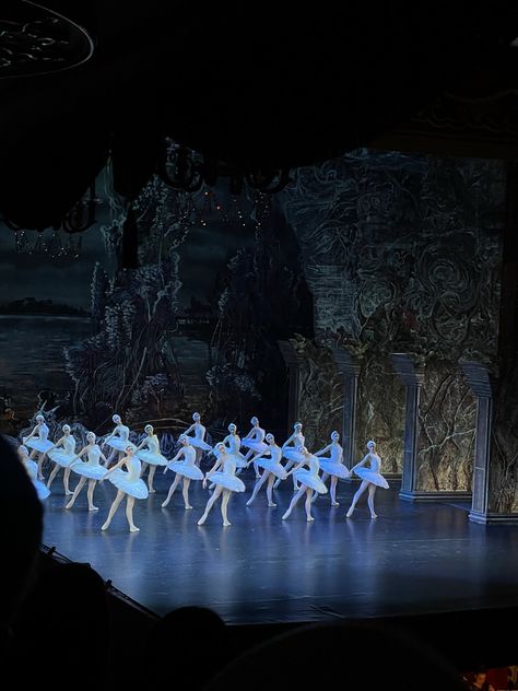 Sleeping Beauty Ballet, Art Academia, Ballet Aesthetic, Swan Lake Ballet, Dance Dreams, Ballet Inspiration, Ballet Theater, Ballet Photography, Quiet Luxury