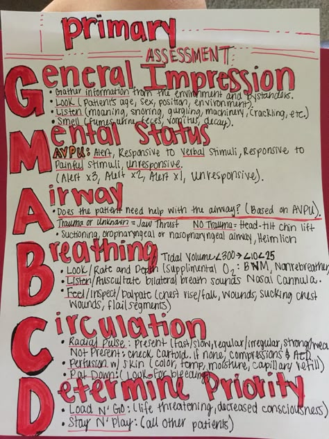 Steps to Primary Assessment (Initial Assessment) after Scene Size-Up Emt Assessment Cheat Sheets, Nremt Emt Patient Assessment, National Registry Emt Study, Patient Assessment Emt Cheat Sheets, Firefighter Study Notes, Emt Basic Notes, Emt Basic Pharmacology, Nremt Emt Study Guide, Patient Assessment Emt