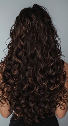 Curly Brown Hair With Lowlights, Brown Curls Aesthetic, Long Brown Curls, Long Volume Hair, Lose Perm, Long Curly Brunette Hair, Black Long Curly Hair, Aesthetic Curls, Curls Aesthetic