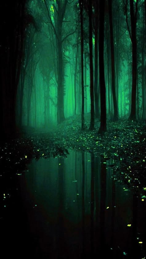 Emerald Dark Aesthetic, Emerald Green Homescreen Aesthetic, Green Dark Forest Aesthetic, Emerald Screensaver, Dark Green Forest Background, Emerald Green Aethstetic, Blue Green Forest Aesthetic, Emerald Green Forest Aesthetic, Dark Green Princess Aesthetic