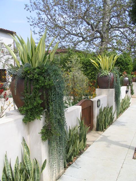 Mediterranean Backyard, Mediterranean Garden Design, Vertical Vegetable Gardens, Succulent Landscape Design, Spanish Garden, Succulent Landscaping, Mediterranean Landscaping, Backyard Vegetable Gardens, Mediterranean Garden