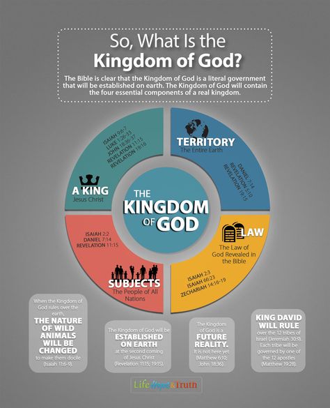 The Gospel accounts are very clear about the focus of Christ’s message. Yet the gospel of the Kingdom of God is nearly absent from Christianity today. Quick View Bible, Bible Study Help, Understanding The Bible, Kingdom Of God, Bible History, Bible Study Notebook, Bible Study Tools, Bible Facts, Bible Prophecy