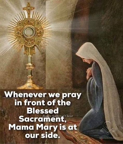 24/7 Live Eucharistic Adoration Streams – The Catholic Me Adoration Prayer, Adoration Catholic, Catholic Gentleman, Eucharistic Miracle, Have Mercy On Me, Catholic Sacraments, Catholic Prayers Daily, The Blessed Sacrament, Eucharistic Adoration