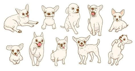 Color Line Tattoo, Cartoon Chihuahua, Chihuahua Drawing, Cute References, Character Design Cute, Premium Vector Cartoon, Dog Comics, Chihuahua Art, Color Pencil Illustration