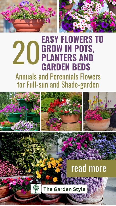 They Annual Flower Arrangements In Pots, Flowers For Pots In Full Sun, Part Sun Part Shade Container Plants, Planting Flowers In Pots Ideas, Annual Flowers For Full Sun Pots, Best Plants For Containers, Flowers For Outdoor Pots, Plant Arrangements Outdoor Flower Pots, Best Planter Flowers