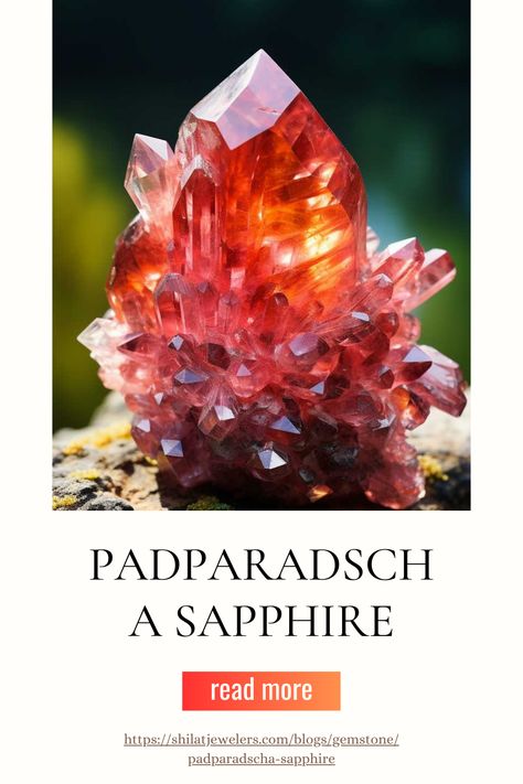 Padparadscha sapphires are a unique and rare variety of sapphire known for their delicate mix of pink and orange hues. These stunning gemstones are highly sought after for their mesmerizing colors and are often associated with creativity and intuition. #PadparadschaSapphire #SapphireJewelry #GemstoneBeauty #LuxuryGems #RareGemstones #ColorfulSapphires #JewelryDesign #FineJewelry #GemsOfTheWorld #PreciousStones Sapphire Color Chart, Enagement Rings, Gemstone Jewelry Earrings, Gemstone Jewellery Design, Orange Hues, Padparadscha Sapphire, Round Cut Engagement Rings, Sapphire Color, Tourmaline Necklace