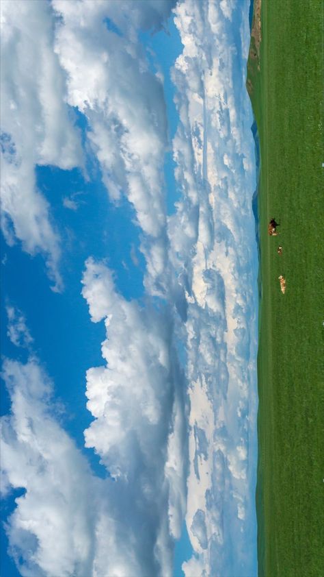 Grassland of Neimenggu or Inner Mongolia. Mongolia Grassland, Mongolia Nature, Inner Mongolia, Mongolia, Nature Photography, Photography, Travel, Quick Saves, Nature