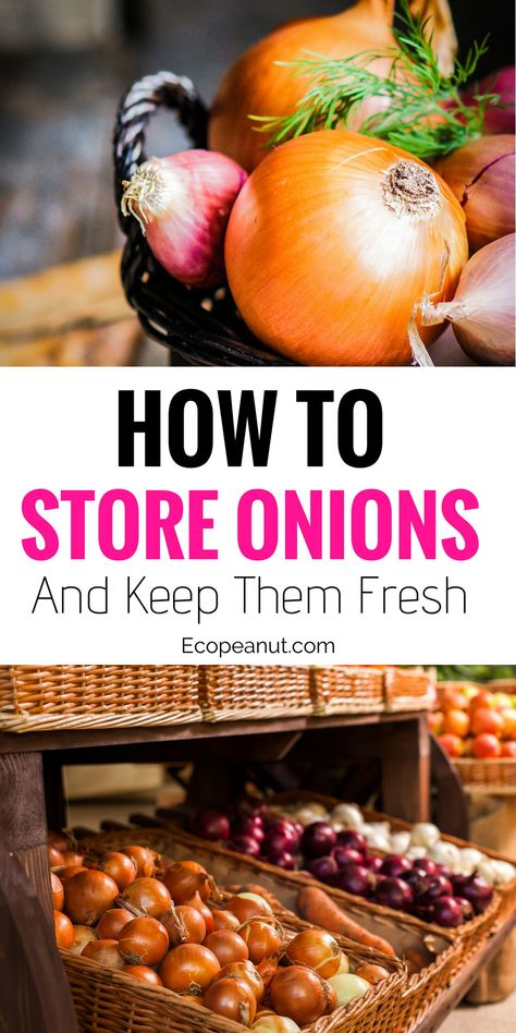 Storing Onions In Kitchen, How To Store Onions In Pantry, How To Store Vegetables, Garlic And Onion Storage Ideas, How To Store Onions From Garden, Onion Garlic Storage Ideas, Onion Storage Ideas, Onion Storage Pantry, How To Store Potatoes And Onions