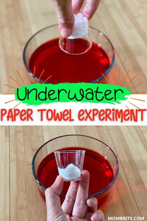 Paper Towel Water Experiment, Veterans Day Science Experiment, Summer Theme Preschool Activities Science Experiments, Oil And Water Experiments For Kids, Paper Towel Science Experiment, Harvest Science Preschool, Water Exploration Preschool, Discrepant Event Science Elementary, Space Science Experiments For Preschool